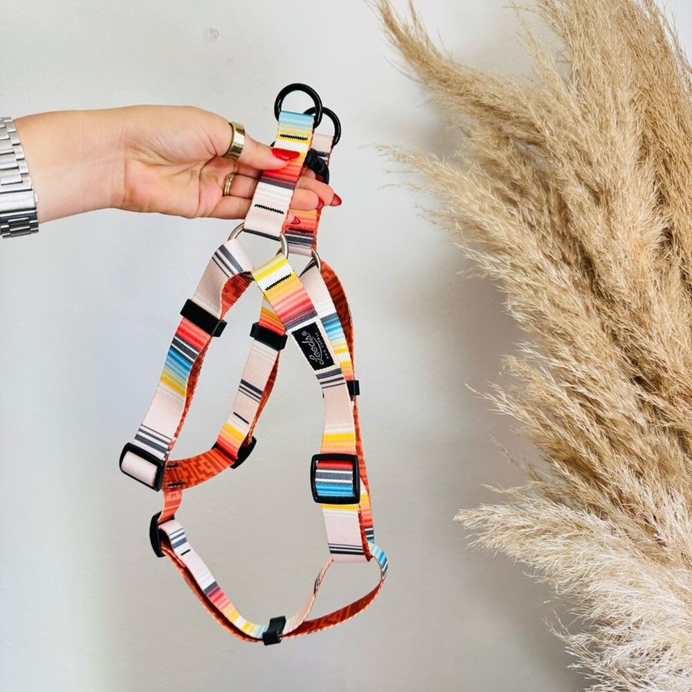 NEW LEEDS Califia Cream Orange Stripe Buckle Dog Collar Step In Harness $85 Set - Picture 9 of 13